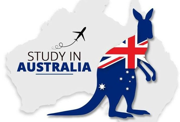 best abroad study consultant